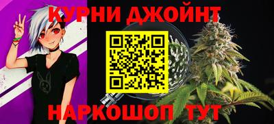 индика Ливны