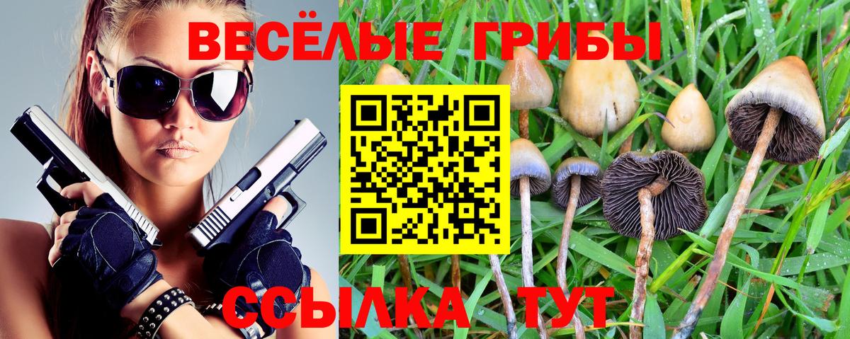 Югорск  цена   Вход с VPN  Псилоцибиновые грибы Psilocybine cubensis 
